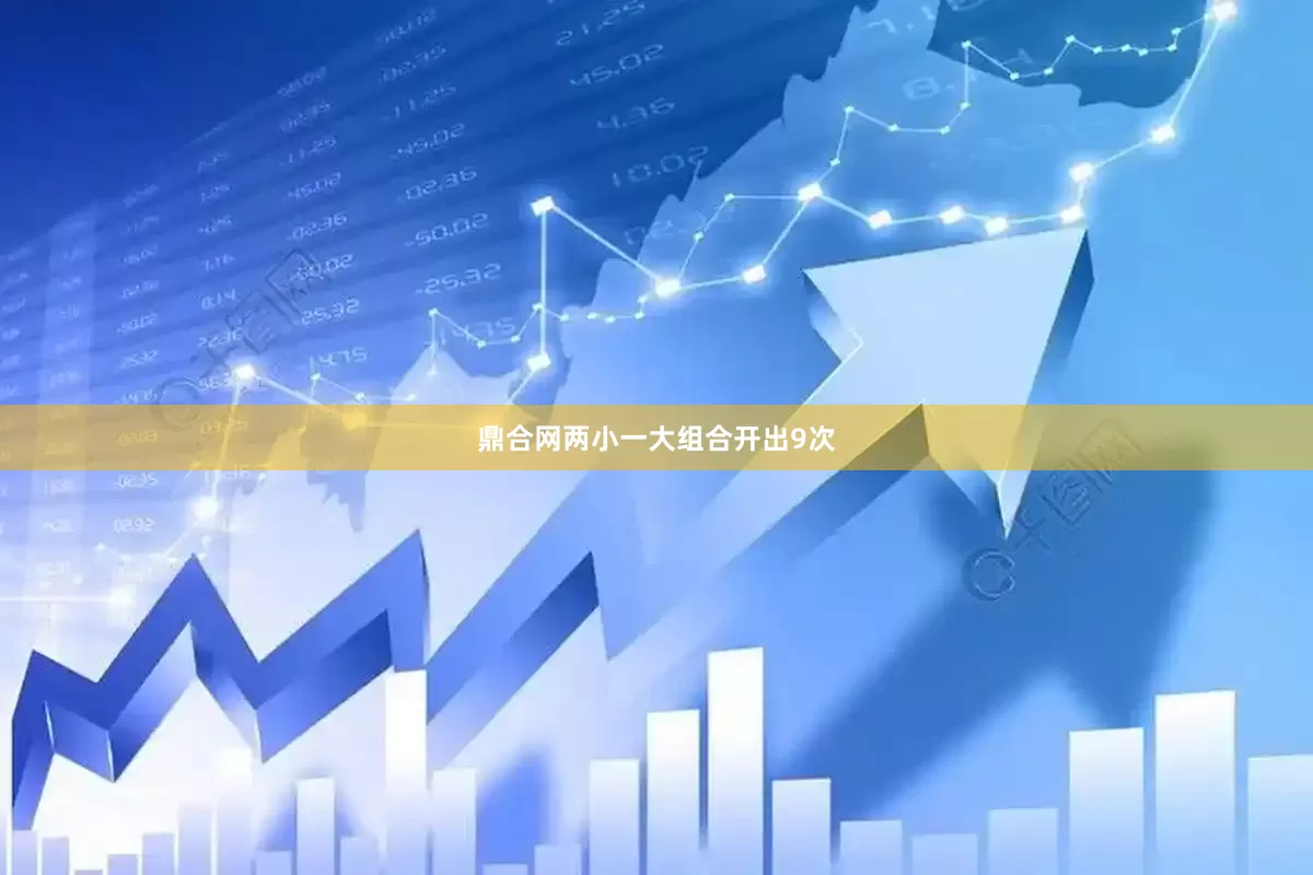 鼎合网两小一大组合开出9次