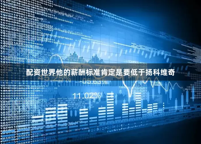 配资世界他的薪酬标准肯定是要低于扬科维奇