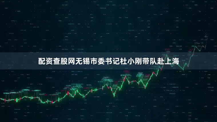 配资查股网无锡市委书记杜小刚带队赴上海