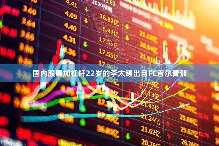 国内股票加杠杆22岁的李太锡出自FC首尔青训