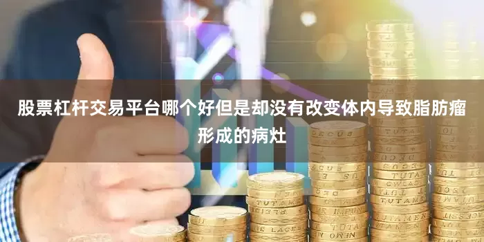 股票杠杆交易平台哪个好但是却没有改变体内导致脂肪瘤形成的病灶