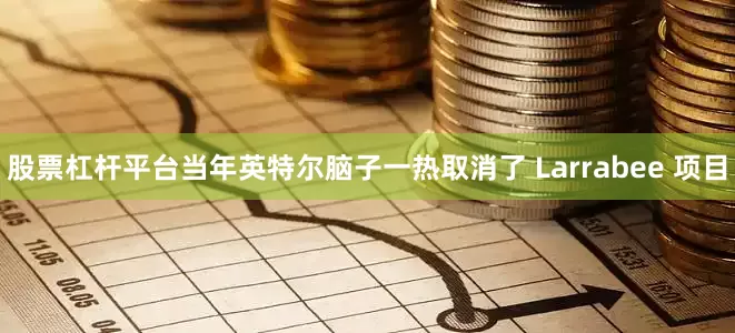 股票杠杆平台当年英特尔脑子一热取消了 Larrabee 项目