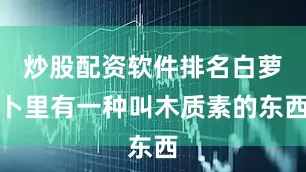 炒股配资软件排名白萝卜里有一种叫木质素的东西